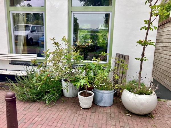 Medium property photo - Schellingwouderdijk 93, 1023 NA Amsterdam